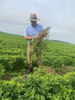 WhatsApp Image 2025-12-03 at 15-26-51 (4).jpeg